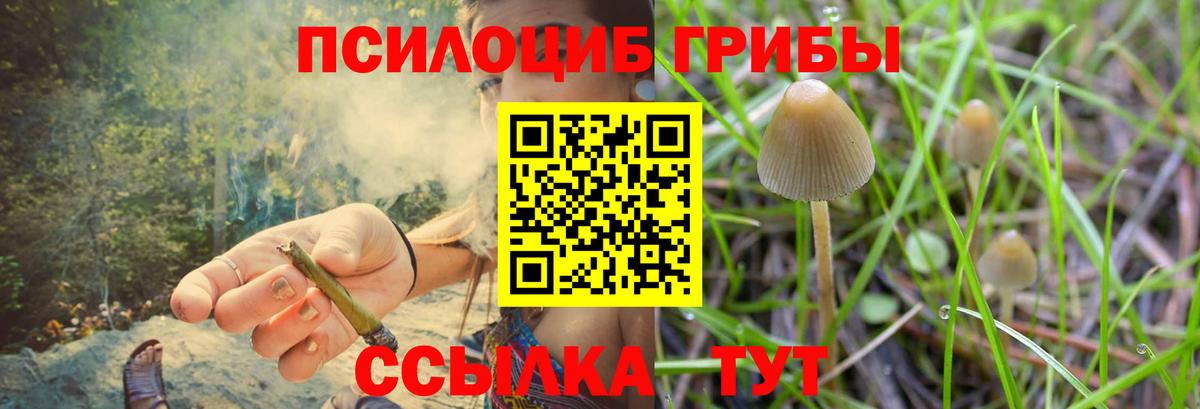Псилоцибиновые грибы GOLDEN TEACHER  Галлюциногенные грибы MAGIC MUSHROOMS  Пыть-Ях 